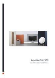Bang & Olufsen | eksamensprojekt afsætning B
