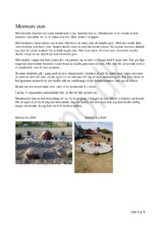 Mormors Sten | Personlig Mindehøjtidelighed Opgave