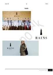 RAINS ApS | Afsætning Aflevering