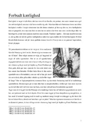 Gavrilo Princip | Analyse