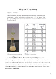 Opgave 2 gæring | Biologi