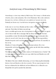 Analytical essay of Streamlining by Muli Amaye